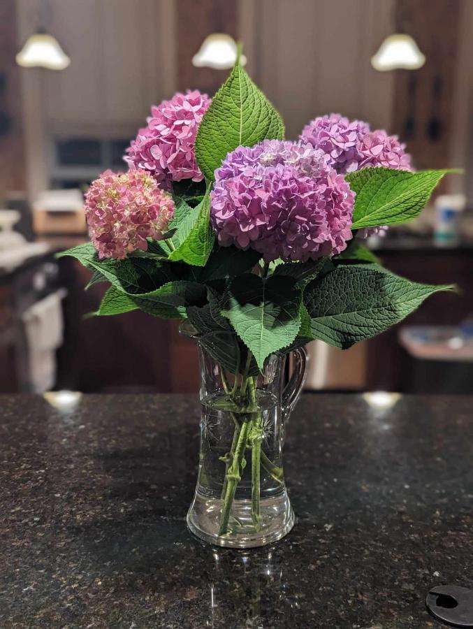 The Vistula Rose B & B 托莱多 外观 照片