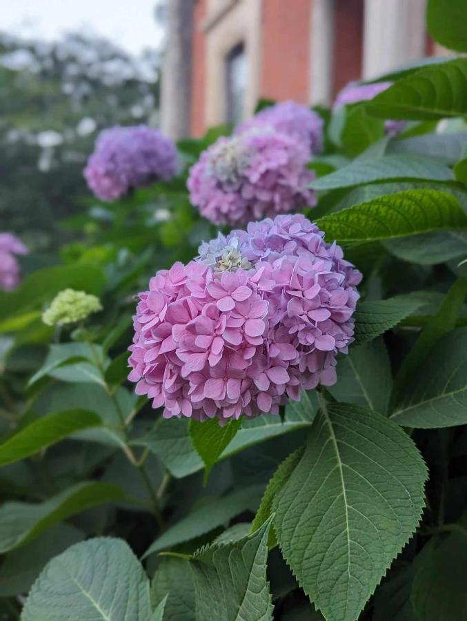 The Vistula Rose B & B 托莱多 外观 照片